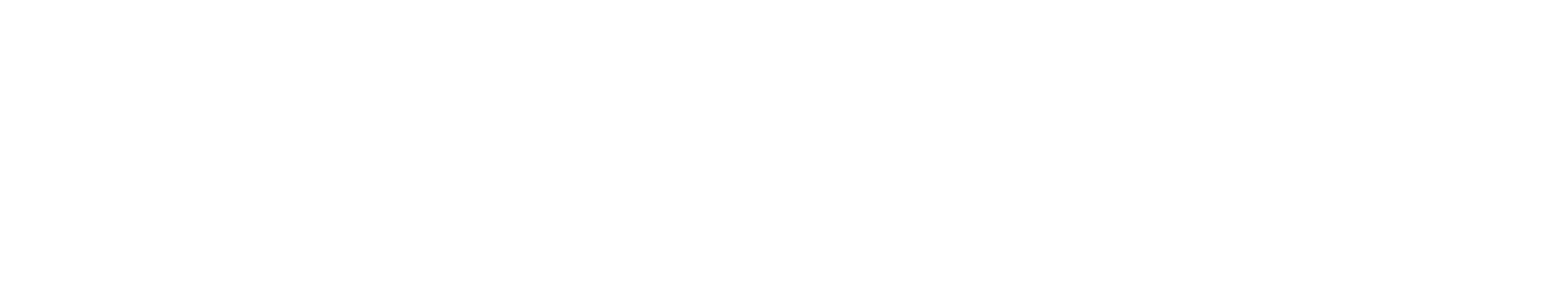 PayZen