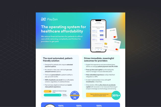 PayZen Platform Overview